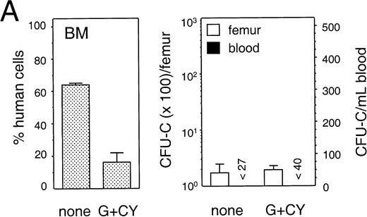 Fig. 8. Mobilization of human hematopoietic progenitors. Untransplanted and engrafted animals (at 6-8 weeks post-transplantation) were treated with various regimens to mobilize hematopoietic cells. In each case, the left hand panel shows the percentage of human cells in the BM, whereas the right hand panel shows the number of human progenitor cells per femur and per mL of peripheral blood. Bars indicate mean ± SEM. (A) Control (n = 4) and treated (n = 5) with a single injection of cyclophosphamide (200 mg/kg) followed by 4 days of hG-CSF (250 μg/kg/d); (B) control (n = 3) and treated (n = 3) with hG-CSF (25 μg/kg/d) for 4 days; (C) control (n = 2) and treated (n = 3) with hG-CSF (250 μg/kg/d for 4 days); (D) control (n = 2) and treated with hG-CSF (25 μg/kg/d) with or without pegylated-hSCF (20 μg/kg/d) for 4 days (both n = 2); and (E) control (n = 3) and treated (n = 4) with hG-CSF (250 μg/kg/d) and pegylated-hSCF (20 μg/kg/d) for 6 days.