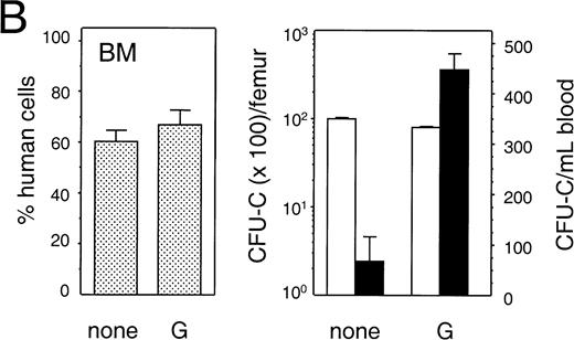 Fig. 8. Mobilization of human hematopoietic progenitors. Untransplanted and engrafted animals (at 6-8 weeks post-transplantation) were treated with various regimens to mobilize hematopoietic cells. In each case, the left hand panel shows the percentage of human cells in the BM, whereas the right hand panel shows the number of human progenitor cells per femur and per mL of peripheral blood. Bars indicate mean ± SEM. (A) Control (n = 4) and treated (n = 5) with a single injection of cyclophosphamide (200 mg/kg) followed by 4 days of hG-CSF (250 μg/kg/d); (B) control (n = 3) and treated (n = 3) with hG-CSF (25 μg/kg/d) for 4 days; (C) control (n = 2) and treated (n = 3) with hG-CSF (250 μg/kg/d for 4 days); (D) control (n = 2) and treated with hG-CSF (25 μg/kg/d) with or without pegylated-hSCF (20 μg/kg/d) for 4 days (both n = 2); and (E) control (n = 3) and treated (n = 4) with hG-CSF (250 μg/kg/d) and pegylated-hSCF (20 μg/kg/d) for 6 days.