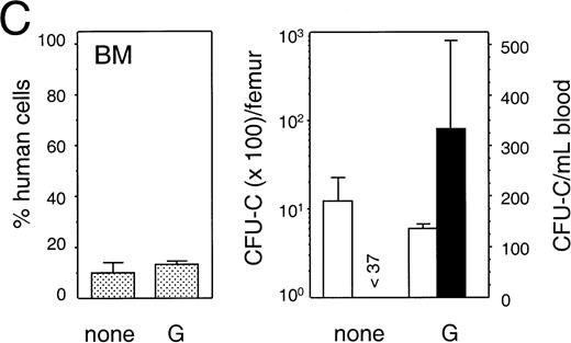 Fig. 8. Mobilization of human hematopoietic progenitors. Untransplanted and engrafted animals (at 6-8 weeks post-transplantation) were treated with various regimens to mobilize hematopoietic cells. In each case, the left hand panel shows the percentage of human cells in the BM, whereas the right hand panel shows the number of human progenitor cells per femur and per mL of peripheral blood. Bars indicate mean ± SEM. (A) Control (n = 4) and treated (n = 5) with a single injection of cyclophosphamide (200 mg/kg) followed by 4 days of hG-CSF (250 μg/kg/d); (B) control (n = 3) and treated (n = 3) with hG-CSF (25 μg/kg/d) for 4 days; (C) control (n = 2) and treated (n = 3) with hG-CSF (250 μg/kg/d for 4 days); (D) control (n = 2) and treated with hG-CSF (25 μg/kg/d) with or without pegylated-hSCF (20 μg/kg/d) for 4 days (both n = 2); and (E) control (n = 3) and treated (n = 4) with hG-CSF (250 μg/kg/d) and pegylated-hSCF (20 μg/kg/d) for 6 days.