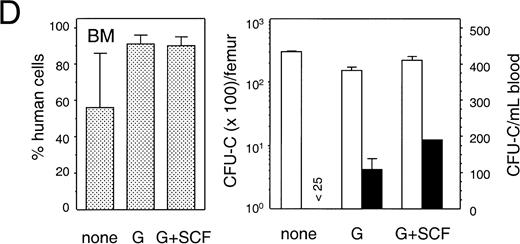 Fig. 8. Mobilization of human hematopoietic progenitors. Untransplanted and engrafted animals (at 6-8 weeks post-transplantation) were treated with various regimens to mobilize hematopoietic cells. In each case, the left hand panel shows the percentage of human cells in the BM, whereas the right hand panel shows the number of human progenitor cells per femur and per mL of peripheral blood. Bars indicate mean ± SEM. (A) Control (n = 4) and treated (n = 5) with a single injection of cyclophosphamide (200 mg/kg) followed by 4 days of hG-CSF (250 μg/kg/d); (B) control (n = 3) and treated (n = 3) with hG-CSF (25 μg/kg/d) for 4 days; (C) control (n = 2) and treated (n = 3) with hG-CSF (250 μg/kg/d for 4 days); (D) control (n = 2) and treated with hG-CSF (25 μg/kg/d) with or without pegylated-hSCF (20 μg/kg/d) for 4 days (both n = 2); and (E) control (n = 3) and treated (n = 4) with hG-CSF (250 μg/kg/d) and pegylated-hSCF (20 μg/kg/d) for 6 days.