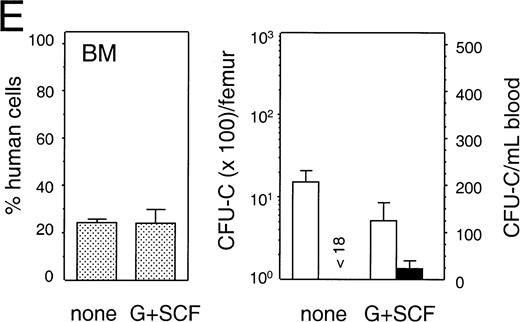 Fig. 8. Mobilization of human hematopoietic progenitors. Untransplanted and engrafted animals (at 6-8 weeks post-transplantation) were treated with various regimens to mobilize hematopoietic cells. In each case, the left hand panel shows the percentage of human cells in the BM, whereas the right hand panel shows the number of human progenitor cells per femur and per mL of peripheral blood. Bars indicate mean ± SEM. (A) Control (n = 4) and treated (n = 5) with a single injection of cyclophosphamide (200 mg/kg) followed by 4 days of hG-CSF (250 μg/kg/d); (B) control (n = 3) and treated (n = 3) with hG-CSF (25 μg/kg/d) for 4 days; (C) control (n = 2) and treated (n = 3) with hG-CSF (250 μg/kg/d for 4 days); (D) control (n = 2) and treated with hG-CSF (25 μg/kg/d) with or without pegylated-hSCF (20 μg/kg/d) for 4 days (both n = 2); and (E) control (n = 3) and treated (n = 4) with hG-CSF (250 μg/kg/d) and pegylated-hSCF (20 μg/kg/d) for 6 days.