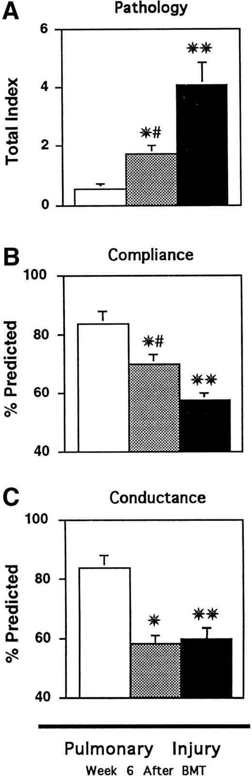 Fig. 2. Semiquantitative analysis of lung histopathology (A) and pulmonary function (B and C) 6 weeks after BMT. CBA mice received BMT as in Fig 1 (syngeneic □, allo TCD BM alone ▩, allo TCD BM and T cells ▪). Lungs were obtained after BMT and analyzed as described in Materials and Methods. Significant lung injury was present in animals receiving allogeneic T cells compared with syngeneic BMT recipients (**P < .01). TCD significantly reduced (#P < .01), but did not eliminate, lung injury and pathology scores after TCD BMT remained significantly increased compared with syngeneic controls (*P < .01). Pulmonary dynamic compliance (Cdyn) and airway conductance (GL) were measured in live transplanted animals as described in Materials and Methods. Lung injury that developed in mice with GVHD was associated with significant decreases in Cdynand GL compared with syngeneic controls (**P < .01). Mice receiving TCD BMT showed significant improvements in Cdyn (B) but not GL (C) compared with animals with GVHD (#P = .01), but both measurements remained significantly reduced compared with syngeneic controls (*P < .01). Data are expressed as mean ± SEM. (n = 12 to 15 per group).