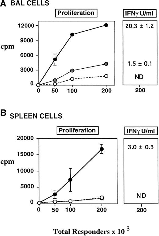 Fig. 4. Proliferation and IFN-γ production of BAL fluid (A) and Splenic (B) T cells to host (CBA) antigens in vitro. CBA mice received BMT as in Fig 1 (syngeneic, allo TCD BM alone •, allo TCD BM and T cells •). BAL cells and splenocytes were obtained from transplanted animals 6 weeks after BMT and cultured with irradiated host stimulator cells as described in Materials and Methods. BAL and splenic T-cell populations from recipients of allogeneic BM and T cells responded to host antigens in vitro. TCD reduced, but did not eliminate, proliferation and IFN-γ production of pulmonary T cells to host antigens, whereas similar responses by splenocytes were absent, consistent with the lack of GVHD in these animals. Values for proliferation were normalized for the percent T cells present in each group (CD4+ and CD8+). IFN-γ levels expressed in U/mL were measured at maximum proliferative response (200 × 103 responders per well). Data are expressed as mean ± SEM of triplicate wells and represent one of two similar experiments.