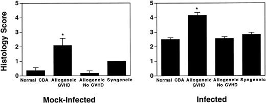Fig. 2. Allogeneic transplant recipients with GVHD showed increase of periluminal mononuclear infiltrates. The pathology scores of mock-infected mice and mice 7 days after intranasal HSV-1 infection were determined. Data represent means ± SE of individual mice, derived from at least two separate experiments. Numbers of mock-infected mice were: 11 (normal CBA), 9 (allogeneic GVHD), 6 (allogeneic No GVHD), and 2 (syngeneic). Numbers of infected mice were: 17 (normal CBA), 13 (allogeneic GVHD), 8 (allogeneic No GVHD), and 4 (syngeneic). The asterisks indicate a significant difference from both normal CBA and allogeneic No GVHD (P = .05; Student'st-test).