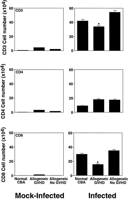 Fig. 4. Characterization of the lymphocyte subsets in the BAL fluid of mock-infected mice and mice 7 days after intranasal HSV-1 infection. The number of lymphocytes was calculated from the percentage determined by fluorescence-activated cell sorter (FACS) analysis. Data represent means ± SE of individual or pooled BAL samples, derived from at least two separate experiments. Numbers of mock-infected mice were: 12 (normal CBA), 12 (allogeneic GVHD), and 6 (allogeneic No GVHD). Numbers of infected mice were: 17 (normal CBA), 13 (allogeneic GVHD), and 8 (allogeneic No GVHD). The asterisks indicate a significant difference from both normal CBA and allogeneic No GVHD (P < .02; Student's t-test).