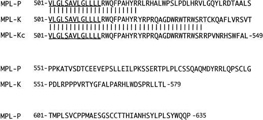 Fig. 2. Structures of MPL-P and MPL-K. Amino acid sequences of the C-terminal half of the transmembrane region and the intracellular region are shown for MPL-P and MPL-K together with the putative correct MPL-K (MPL-Kc). The underlined sequence indicates the C-terminal half of the transmembrane domain. The amino acid sequences that are common between MPL-P and MPL-K and between MPL-K and MPL-Kc are indicated by vertical lines. The numbers on both sides are the amino acid number from the first methionine.