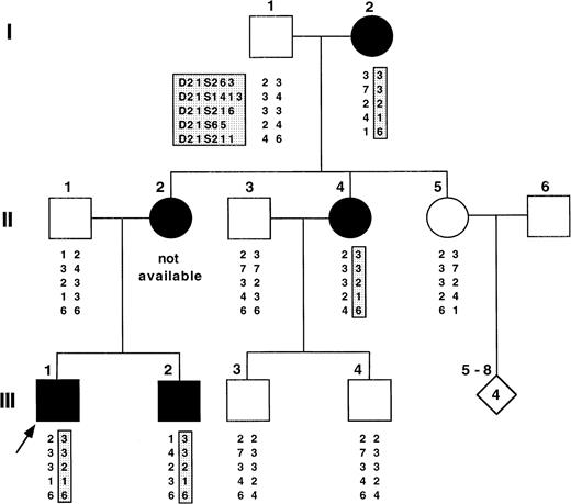 Fig. 1. Pedigree of the family under study with FPD-AML. The arrow identifies the proband (III-2). The FPD phenotype is shown in black. The STRP studied are shown here and cosegregation of linked haplotypes in family members with FPD is shown in the shaded box. II-2 developed AML and was posttransplantation when DNA samples were collected so that her analysis was inferred and shown in parenthesis. Five other flanking markers were genotyped and had negative lod scores. For clarity, these data are not shown.