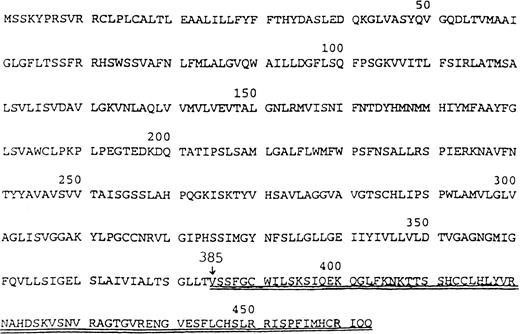 Fig. 2. Amino acid sequence of RH Del are shown. The amino acids of Rh Del are different from RH D gene after codon 384, and there are 46 amino acids more in Rh Del protein.