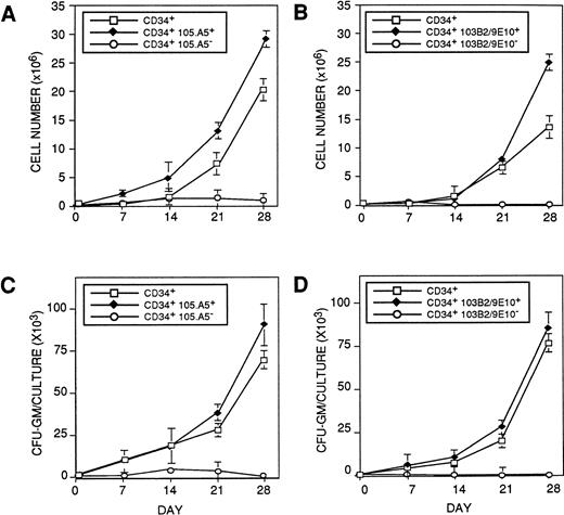 Fig. 3. CD34+ cells initiating hematopoiesis in the cytokine-supplemented (pre-CFU) assay express the 103B2/9E10 and 105.A5 epitopes. BMMNC were sorted into (□) CD34+, (⧫) CD34+ 103B2/9E10+, (○) CD34+103B2/9E10lo/− (A and C) or (□) CD34+, (⧫) CD34+105.A5+, (○) CD34+ 105.A5lo/− subpopulations (B and D) (as described in Materials and Methods) and assayed for their ability to initiate and maintain hematopoiesis in a stroma-independent, cytokine-supplemented culture. Cultures were established in triplicate using 1 × 103 sorted cells per well in medium supplemented with 10 ng/mL each of purified recombinant human IL-1β, IL-3, IL-6, G-CSF, GM-CSF, and SCF. Additional factors were added at the same concentrations on days 7, 14, and 21. On days 7, 14, and 21, the cells were harvested, washed, and assayed for nucleated cell number and CFU-GM as previously described. The results are expressed as the mean number ± SE of nucleated cell number (A and B) and CFU-GM (C and D) recovered at days 7, 14, 21, and 28 for each group. A representative experiment (1 of 3) is shown.