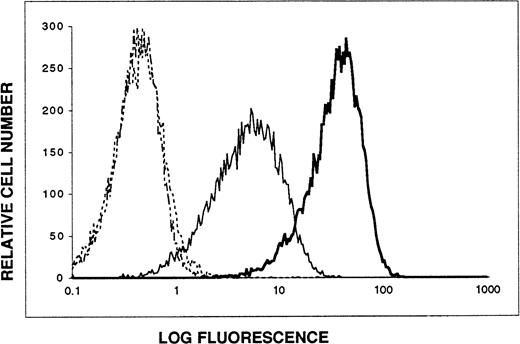 Fig. 6. 103B2/9E10 and 105.A5 MoAbs recognize the same glycoprotein antigen on transfectants expressing the CD164 cDNA. A 2.7-kb BamHI-Xho I restriction fragment of the CD164 cDNA (harboring both the entire coding sequence and the 5′ and 3′ noncoding regions) was subcloned into the pRUFneovector and subsequently introduced into FDC-P1 cells by retroviral transduction (refer to Materials and Methods). The resultant G418-resistant cell population was stained by indirect immunofluorescence and analyzed by flow cytometry. Data are displayed as single-parameter fluorescence (FITC) histograms of 1 × 104 light-scatter gated events, collected as list mode data. (···) IgG3 control MoAb; (-·-) IgM control MoAb; (—) MoAb 103B2/9E10; () MoAb 105.A5