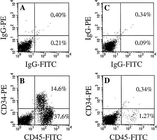 Fig. 3. Comparison of FACScan analysis of BM cells harvested from NOD/SCID mice transplanted 6 weeks previously with 1.0 × 106 MPB CD34+ cells isolated in G0 or in G1 phase of the cell cycle. Cells were stained either with isotypic control antibodies (upper panels) or with antihuman CD45-FITC and antihuman CD34-PE (lower panels). (A and B) Mouse transplanted with G0CD34+ cells; (C and D) mouse transplanted with G1CD34+ cells.