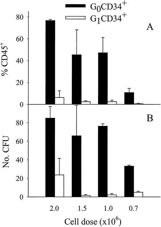 Fig. 4. Comparison of engraftment capacity of MPB CD34+ cells isolated in G0 or in G1 phase of the cell cycle. Data from four experiments are reported as the mean ± SEM. Each experiment was performed with MPB CD34+ cells isolated from a different donor (n = 2 to 4 animals per experiment). (A) Percentages of chimeric human CD45+ cells in the BM of mice transplanted 6 weeks previously with indicated numbers of G0 or G1CD34+ cells. Average chimerism was statistically higher after transplantation of G0CD34+ cells than after transplantation of G1CD34+ cells (P < .05, pairedt-test). (B) Numbers of human progenitor cells per 50 × 103 BM cells 6 weeks posttransplantation in the same recipient mice. Average human progenitor output was statistically higher in G0- versus G1-transplanted mice (P < .05, paired t-test).