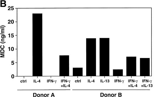 Fig. 3. Divergent effect of IL-4 and IFN-γ on MDC protein production. Supernatants of monocytes stimulated with or without IL-4 (20 ng/mL), IL-13 (20 ng/mL), and IFN-γ (500 U/mL) were examined for immunoreacting MDC using MoAb 252Y (A) or by MDC specific ELISA (B). Each panel shows the results of two independent experiments.