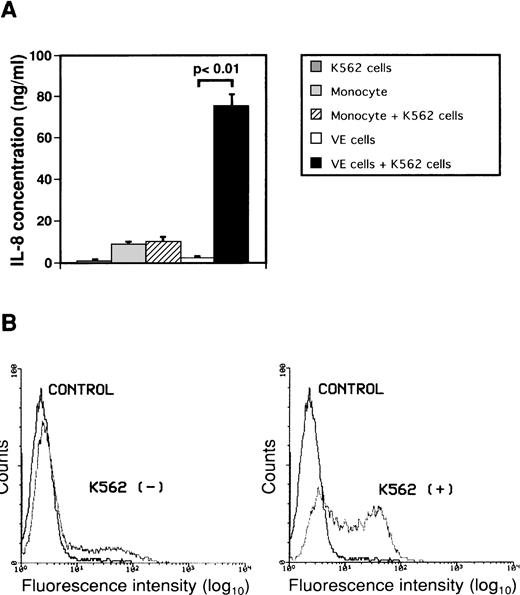 Fig. 2. Effect of interaction between either monocytes or endothelial cells and K562 cells on secretion of IL-8 from endothelial cells. Monocytes (1 × 106 cells/mL) and human umbilical venous cells (VE cells, confluent) were cultured with or without K562 cells (5 × 104 cells/mL) for 2 days, and supernatants were then collected. (A) ELISA system for IL-8 was performed. Columns show the means of three independent experiments. Statistical analysis was performed using the Student’s t-test. (B) When VE cells were cocultured with (right) or without (left) K562 cells, the remaining VE cells, after removal of K562 cells, were collected and expression of intracytoplasmic IL-8 was examined as described in Materials and Methods. Purified mouse Ig G1 was used as a control antibody (CONTROL). The vertical axis indicates the frequency of fluorescence-positive cells. Intracytoplasmic IL-8 density is depicted on the horizontal axis. The representative data from three independent experiments are shown.