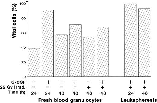 Fig. 2. Protective effect of G-CSF on apoptosis in irradiated fresh blood and leukapheresis granulocytes. Granulocytes were isolated from fresh blood, G-CSF (2 μg/mL) was immediately added to the medium. After 24 hours, the granulocytes were irradiated (or not) and subsequently assessed for apoptosis at the time intervals indicated. Apoptotic cells were identified as the population of granulocytes displaying typical reduced DNA content and reduced cell size. Percent vital cells means the percentage of all granulocytes showing no apoptosis in this test. The granulocytes can be divided into two populations. There is a significant (P < .05) increase in viability at 48 hours compared with 24 hours.