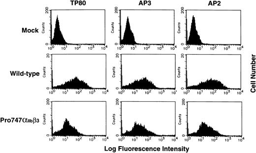Fig. 5. Flow cytometric analysis of IIbβ3 on the transfected cell surface. Recombinant IIb cDNA containing the 2334A → C substitution subcloned into pcDNA3 was cotransfected with recombinant wild-type β3 cDNA in 293 cells. The transfected cells were incubated with TP80 (IIb-specific MoAb), AP3 (β3-specific MoAb), or AP2 (IIbβ3 complex-specific MoAb) for 30 minutes on ice and washed once, and bound antibodies were detected by FITC-conjugated goat F(ab′)2 antimouse IgG. Results are expressed as histograms of cell number (linear scale) on the ordinate versus fluorescence intensity (log scale) on the abscissa.