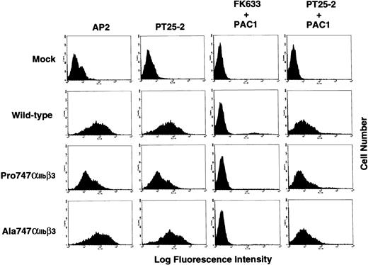 Fig. 8. Effect of Gln747 → Ala substitution on IIbβ3 expression and PAC-1 binding to wild-type and mutant IIbβ3 activated with PT25-2 MoAb. The IIb cDNA containing the Gln747 → Ala substitution was cotransfected with wild-type β3 cDNA into 293 cells. The transfected cells were incubated with AP2 or PT25-2 for 30 minutes on ice and washed once, and bound antibodies were detected by FITC-conjugated goat F(ab′)2 antimouse IgG. For PAC-1 binding, PT25-2–treated or FK633-treated 293 cells were incubated with FITC-labeled PAC-1 for 30 minutes on ice. Results are expressed as histograms of cell number (linear scale) on the ordinate versus fluorescence intensity (log scale) on the abscissa.