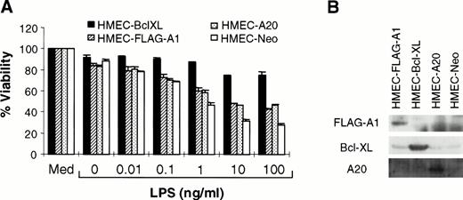 Fig. 3. A1 and A20 inhibit LPS-initiated endothelial apoptosis. (A) HMEC-1 cells stably transduced with various cDNA constructs, as indicated, were exposed to LPS and CHX (50 μg/mL). MTT assays were performed at 15 hours after treatment with LPS and CHX. Each data point is the proportion of viable cells with respect to cells treated with medium only (Med). Results are the means + SD of three experiments. (B) Each of the transduced cell lines was tested for expression of the relevant protein by immunoblotting.