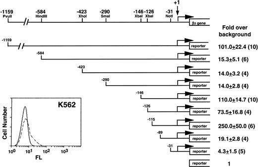 Fig. 1. Functional analysis of the 5′ region of the β3 gene in K562 cells. The insert at the lower left shows flow cytometry analysis of K562 cells. Fluorescence (FL) is shown on a logarithmic scale on the x-axis; cell number is shown on the y-axis. Dashed lines are the results using MoAb T10, which is specific for human IIbβ3. A restriction enzyme map with positions relative to the transcription start site of the β3 gene is shown above. Reporter gene constructs containing portions of the 1,159 bp upstream of the transcription start site were transiently transfected into K562 cells and assayed for reporter activity. The reporter gene used in these studies included both CAT and luciferase, and equivalent results were obtained with both reporters. Fold increase and the standard error of the mean over the promoterless construct (background) are indicated. The number of times each construct was tested is shown in parentheses. The Materials and Methods describes how values were normalized, emphasizing the importance of the relative changes, not the absolute fold increase.
