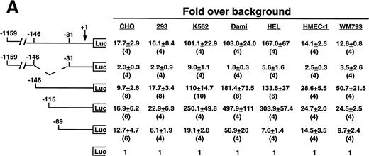 Fig. 3. Cell line specificity of regulatory regions of the β3 gene. (A) The indicated constructs were transiently transfected into the β3-expressing megakaryocytic cells K562, Dami, and HEL, into the β3-expressing but nonmegakaryocytic cells HMEC-1 and WM793, and into non–β3expressing cell lines CHO and 293 and assayed for luciferase activity. Fold increase and the standard error of the mean over the promoterless construct (background) are indicated. The number of times each construct was tested is shown in parentheses. The Materials and Methods describes how values were normalized. (B) Additional reporter gene assays were performed four times and are presented as the fold increase over the pGL-2-Promoter with the standard error of the mean.