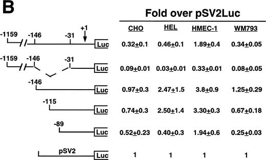 Fig. 3. Cell line specificity of regulatory regions of the β3 gene. (A) The indicated constructs were transiently transfected into the β3-expressing megakaryocytic cells K562, Dami, and HEL, into the β3-expressing but nonmegakaryocytic cells HMEC-1 and WM793, and into non–β3expressing cell lines CHO and 293 and assayed for luciferase activity. Fold increase and the standard error of the mean over the promoterless construct (background) are indicated. The number of times each construct was tested is shown in parentheses. The Materials and Methods describes how values were normalized. (B) Additional reporter gene assays were performed four times and are presented as the fold increase over the pGL-2-Promoter with the standard error of the mean.