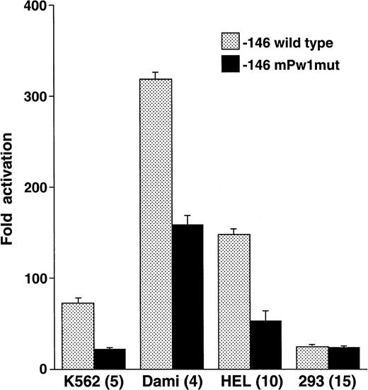 Fig. 5. The −112 to −109 sequence demonstrates cell preferential activity. The −146 construct was mutated at those positions that were altered in EMSA probe mPw1 and called −146 mPw1mut. Wild-type and mutant constructs were analyzed in the indicated cell lines for their luciferase activity and are displayed as fold activation over background with standard error bars. The number of times each experiment was performed is indicated in parentheses. The activity of the −146mPw1mut is only compared with the wild-type activity in those experiments when both constructs were used. Because there are some variations between experiments and because Fig 3summarizes numerous different experiments with the wild-type −146 construct, there are some differences in the activities of this construct between Figs 3 and 5.