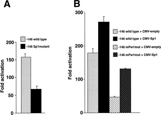 Fig. 8. Sp1 functions at the −70 position of the β3 promoter. (A) Sp1 mutational analysis. HEL cells were transfected with equivalent amounts of −146 wild-type and Sp1 mutant constructs, assayed for luciferase activity, and expressed as fold activation over background. The mutant construct contained the 2-bp substitution in probe mMS7 that destroyed the Sp1 site at position −70. Each experiment was performed five times. (B) Cotransfection of Sp1 enhances expression. HEL cells were transfected with the indicated plasmids and assayed for luciferase activity. Each experiment was performed four times. Twenty micrograms of −146 wild-type or −146 mPw1mut and 4 μg of CMV-Sp1 or CMV-empty (total plasmid DNA, 24 μg) were transfected in each experiment.