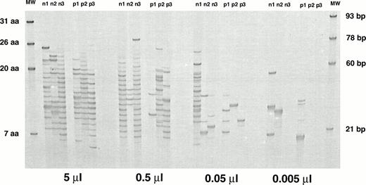 Fig. 2. Comparison of the IgM VH6 H CDR3 fingerprinting profiles of 3 normal adults and 3 stem cell transplant recipients using equal numbers of B cells for cDNA synthesis. Fingerprinting profiles were obtained using 5, 0.5, 0.05, and 0.005 μL of the cDNA. p1, 36-week sample from patient no. 1; p2, 36-week sample from patient no. 9; p3, 26-week sample from patient no. 11 (patient numbers are according to Table 1). n, normal donor.