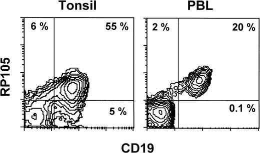 Fig. 5. RP105 expression is restricted to CD19+ B cells. Leukocytes from peripheral blood or a tonsil were stained with the FITC-labeled antibody against CD19 and biotinylated MHR73 followed by avidin-phycoerythrin. Stained cells were analyzed on a FACScan.