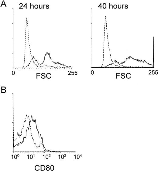 Fig. 7. The anti-RP105 MoAb induces B cells to increase in cell size and expression of a costimulatory molecule CD80. Peripheral blood mononuclear cells were collected by Ficoll-Hypaque density gradient centrifugation and cultured in a 24-well plate at 2 × 106cells/well with or without the anti-MHR73 MoAb (20 μg/mL). After 24 hours (the left panel of A) or 40 hours (the right panel of A and B), cells were harvested and stained with FITC-labeled anti-CD19 MoAb and biotinylated anti-CD80 MoAb followed by avidin-phycoerythrin. Stained cells were analyzed on a FACScan. Only CD19+ B cells were examined, and profiles of forward scatter (A) or CD80 expression (B) are shown. Solid lines and hatched lines depict histograms of cells cultured with or without the MHR73 MoAb, respectively.