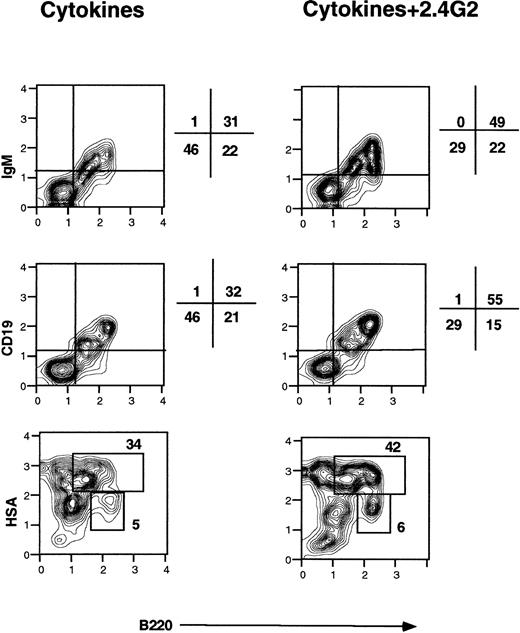 Fig. 1. Effect of 2.4G2 on B220+ cells in bone marrow cultures treated with IL-3, IL-5, and GM-CSF. Bone marrow cells (2 × 105 cells per well) were cultured with cytokines for 3 days in the presence of 2.4G2 (25 μg/mL) or with cytokines alone. The analysis shown was performed after setting a lymphocyte gate based on orthogonal and forward scatter. The figure shows one representative experiment of three with similar results.