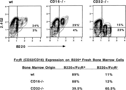 Fig. 2. FcγR expression on B220+ cells. Flow cytometric analysis of fresh bone marrow cells from wild-type, CD16−/−, and CD32−/− mice. The lower part of the figure shows the percentage of B220+ cells binding 2.4G2.