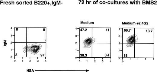 Fig. 3. The effect of 2.4G2 on differentiation of B-lineage precursor cells (B220+, IgM−, HSAhi). Fresh FACS-sorted B220+, IgM− bone marrow cells (left panel) were cocultured with bone marrow stromal cell line BMS2. IgM and HSA expression on B220+ cells after 72 hours of culture without (middle panel) or with 2.4G2 (25 μg/mL; right panel). Cultures with 2.4G2 showed an enhanced percentage of cells with IgM expression and increased amounts of IgM per cell.