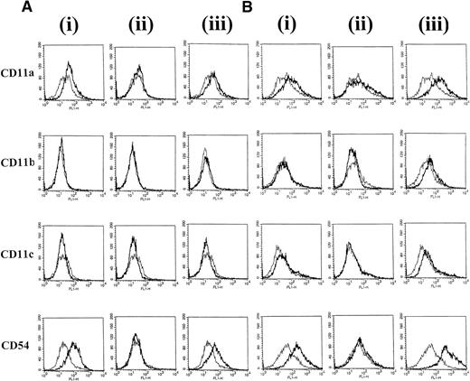 Fig. 2. L3055 cells were stained with MoAb against adhesion molecules CD11a, b, c, and CD54 after (A) 24 hours or (B) 72 hours of treatment with (i) CD40L alone, (ii) IL-4 alone, or (iii) CD40L with IL-4. Untreated control cells are shown for comparison as a superimposed thin line on each histogram.