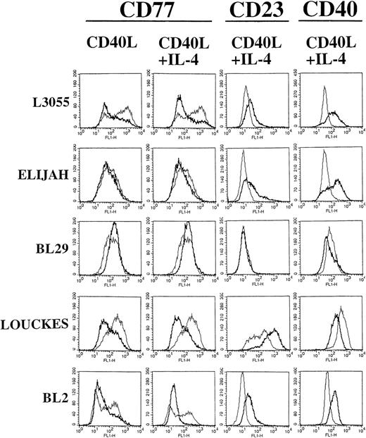 Fig. 3. BL cells were stained with MoAb against CD77 after 72 hours of stimulation with CD40L alone. Additional staining with MoAb against CD77, CD23, and CD40 was performed after 72 hours of stimulation with CD40L in combination with IL-4. FACS analysis was performed after 5 days of culture (including the initial 72 hours of stimulation). Untreated control cells are shown for comparison as a superimposed thin line on each histogram.