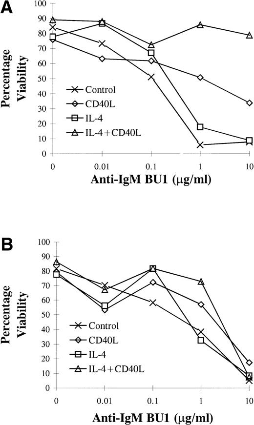 Fig. 9. L3055 cells were incubated either alone or with CD40L, IL-4, or CD40L with IL-4 for 72 hours. Cells were then maintained in complete medium for up to 14 days (including the initial 72 hours of stimulation). During this time at (A) 3 and (B) 14 days of resistance to apoptosis induced by anti-IgM MoAb, BU1 was assessed by counting apoptotic cells from triplicate cultures on Romanoski-stained cytocentrifuge preparations. Data are representative of two separate experiments.