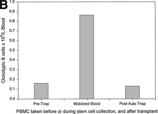 Fig. 6. The frequency of clonotypic B cells is slightly reduced by conventional chemotherapy in most patients, and is maintained after autologous transplantation (auto-tnsp), but clonotypic B cells are depleted after cytoreduction therapy and allogeneic transplantion. (A) The number of circulating clonotypic B cells was monitored at the time points after diagnosis as indicated. Data points are from Table 3. Patient ID numbers are given in the figure. For patients 1, 2, 7, 15, and 18 chemotherapy was initiated immediately after diagnosis and continued at monthly intervals until month 7. With the exception of the 10- and 13-month time points, patients 3, 5, and 6 were on chemotherapy for the time points recorded here. Patient 11 remained untreated for both samples shown here. (B) This patient was analyzed for clonotypic B cells a few days before stem-cell mobilization with G-CSF (mIg = 16 gm/L and 11% plasma cells in BM, a 75% decrement in response to treatment). The frequency of clonotypic B cells was analyzed in the G-CSF–mobilized blood cells, and in a blood sample taken at 1 month after cytoreduction and autologous transplantation, at which time the patient had a further 20% reduction in mIg for a total decrement of 95%. This patient has since remained in partial remission. (C) This patient was treated with VAD for 6 cycles followed by high-dose cytoxan and radiation, followed by allogeneic hematopoietic transplantation (Allo Tsnp) and immunosuppression with cyclosporin A. This patient remains in complete remission.