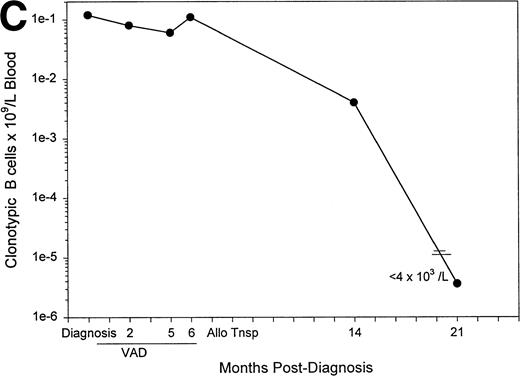 Fig. 6. The frequency of clonotypic B cells is slightly reduced by conventional chemotherapy in most patients, and is maintained after autologous transplantation (auto-tnsp), but clonotypic B cells are depleted after cytoreduction therapy and allogeneic transplantion. (A) The number of circulating clonotypic B cells was monitored at the time points after diagnosis as indicated. Data points are from Table 3. Patient ID numbers are given in the figure. For patients 1, 2, 7, 15, and 18 chemotherapy was initiated immediately after diagnosis and continued at monthly intervals until month 7. With the exception of the 10- and 13-month time points, patients 3, 5, and 6 were on chemotherapy for the time points recorded here. Patient 11 remained untreated for both samples shown here. (B) This patient was analyzed for clonotypic B cells a few days before stem-cell mobilization with G-CSF (mIg = 16 gm/L and 11% plasma cells in BM, a 75% decrement in response to treatment). The frequency of clonotypic B cells was analyzed in the G-CSF–mobilized blood cells, and in a blood sample taken at 1 month after cytoreduction and autologous transplantation, at which time the patient had a further 20% reduction in mIg for a total decrement of 95%. This patient has since remained in partial remission. (C) This patient was treated with VAD for 6 cycles followed by high-dose cytoxan and radiation, followed by allogeneic hematopoietic transplantation (Allo Tsnp) and immunosuppression with cyclosporin A. This patient remains in complete remission.
