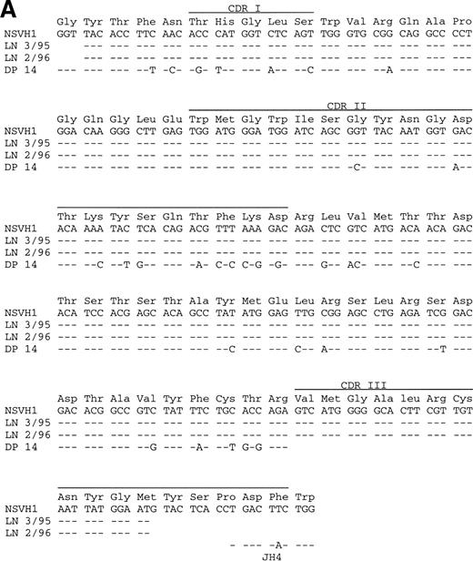 Fig. 2. Comparative sequence analysis of rearranged VH gene sequences from H-RS cells. Dashes indicate sequence identity. CDRs I-III are marked. Corresponding amino acids are shown above each codon. (A) PCR products of the VH1 rearrangement amplified from 20 H-RS cells of a patient with NS-HD are compared with the germline VH1 gene DP1432 and the JH4 gene.31 The upper sequences were obtained from single H-RS cells (NSVH1), the lower sequences were obtained from lymph node tissues (LN 3/95 and LN 2/96). (B) VH1 rearrangement amplified from eight H-RS cells from a patient with MC-HD, compared with the germline VH1 gene DP1031 and the JH3 gene.30 The upper sequences were obtained from single H-RS cells (MCVH1); the lower sequences were obtained from spleen (SP 7/95) and lymph node tissue (LN 7/96).