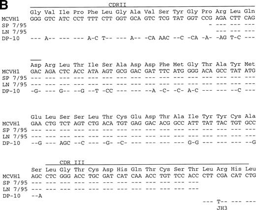 Fig. 2. Comparative sequence analysis of rearranged VH gene sequences from H-RS cells. Dashes indicate sequence identity. CDRs I-III are marked. Corresponding amino acids are shown above each codon. (A) PCR products of the VH1 rearrangement amplified from 20 H-RS cells of a patient with NS-HD are compared with the germline VH1 gene DP1432 and the JH4 gene.31 The upper sequences were obtained from single H-RS cells (NSVH1), the lower sequences were obtained from lymph node tissues (LN 3/95 and LN 2/96). (B) VH1 rearrangement amplified from eight H-RS cells from a patient with MC-HD, compared with the germline VH1 gene DP1031 and the JH3 gene.30 The upper sequences were obtained from single H-RS cells (MCVH1); the lower sequences were obtained from spleen (SP 7/95) and lymph node tissue (LN 7/96).