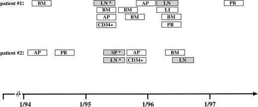 Fig. 3. PCR-based monitoring of clonal H-RS cells in different blood and tissue samples from two patients with relapsed HD for 3 years from March 1994 to May 1997. Collection of samples analyzed from a patient with NS-HD (patient no. 1) and from a patient with MC-HD (patient no. 2). (▧) Specific PCR products were amplified from these samples with clone-specific primers. (□) No PCR products were detected in the DNA samples. (*) Single-cell PCR was performed from a frozen tissue section. Abbreviations: BM, bone marrow aspirate; LN, lymph node tissue; AP, apheresis material; LI, liver tissue; SP, spleen cells; PB, peripheral blood; CD34+, MACS-separated CD34+ cells.