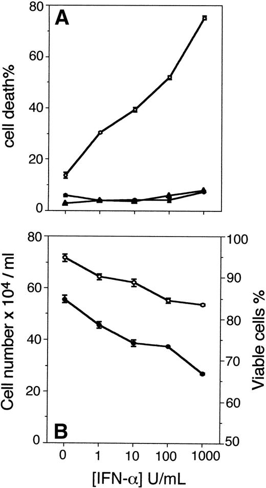 Fig. 2. (A) Cell death in the absence (•) or presence (○) of anti-Fas antibodies (CH-11; 100 ng/mL) or control IgM (100 ng/mL; ▴) for 24 hours in U-266-1970 cells preincubated for 96 hours with IFN- in concentrations ranging from 0 to 1,000 U/mL. Cells were harvested and subjected to TUNEL and flow cytometry analysis. Vertical bars indicate the SEM. (B) Cell number and viability of U-266-1970 cells incubated with IFN- at increasing concentrations (0 to 1,000 U/mL) in the presence of IL-6 (20 U/mL). Cells were harvested at 96 hours and the number of viable cells (•) and the percentage of viability of the total number of cells (○) was determined by using trypan blue exclusion. Vertical bars indicate the SEM.