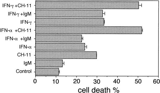 Fig. 3. Cell death in U-1958 cells in the absence or presence of anti-Fas antibodies (CH-11; 100 ng/mL) or control IgM (100 ng/mL). U-1958 cells were preincubated for 96 hours without or with IFN- (1,000 U/mL) or IFN-γ (1,000 U/mL) before the addition of anti-Fas MoAbs or isotype-specific MoAbs. At 24 hours, the cells were harvested and subjected to TUNEL and flow cytometry analysis. Bars indicate the SEM.