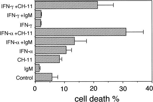 Fig. 4. Cell death in U-266-1984 cells in the absence or presence of anti-Fas antibodies (CH-11; 100 ng/mL) or control IgM (100 ng/mL). U-266-1984 cells were preincubated for 96 hours without or with IFN- (1,000 U/mL) or IFN-γ (1,000 U/mL) before the addition of anti-Fas MoAbs or isotype-specific MoAbs. At 24 hours, the cells were harvested and subjected to TUNEL and flow cytometry analysis. Bars indicate the SEM.