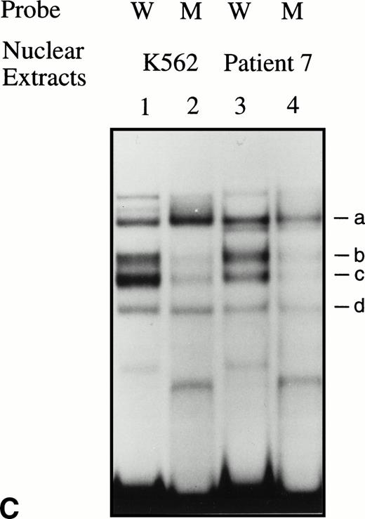 Fig. 5. EMSAs using the BRE-G1 sequence of the γ-globin gene promoter or TFIID as probe. (A) Nuclear extracts from uninduced K562 or a patient’s erythroblasts (patient no. 5) without treatment are shown by the −; butyrate-induced K562 cells or patient’s erythroblasts on treatment (patient no. 5) are designated by the +. Nuclear extracts prepared from erythroblasts of a normal subject are designated NS. Lane designations are as follows: lane 1, K562 (untreated); lane 2, K562 (butyrate-treated); lane 3, patient no. 5 (before treatment); lane 4, patient no. 5 (on butyrate treatment); lane 5, patient no. 5 (28 hours after treatment); lane 6, patient no. 5 (44 hours after treatment); lane 7, K562 (untreated); lane 8, patient no. 5 (on treatment); lane 9, normal subject (N.S.). Four major protein-DNA complexes, designated a through d, were detected. Arrows denote protein-DNA complexes that appeared in K562 extracts during butyrate treatment. The asterisk denotes a band that is diminished with exposure to butyrate. Nuclear extracts from patient no. 5 are shown before (−), during (+), and 28 and 44 hours after therapy (−28hr and −44hr) are shown. Three new shifted bands are demonstrated during butyrate therapy and persist for at least 44 hours, at which time globin protein synthesis is still altered with an increase in γ-globin and decrease in β-globin compared with baseline. (B) EMSA using a TFIID probe. The origins of nuclear extracts and addition of butyrate are shown on the top of figure. Lane designations are as follows: lane 1, patient no. 5 (before treatment); lane 2, patient no. 5 (on treatment); lane 3, patient no. 5 (28 hours after treatment); lane 4, patient no. 5 (44 hours after treatment); lane 5, K562 (untreated); lane 6, patient no. 5 (on treatment); lane 7, normal subject (N.S.). The arrow indicates the major protein-DNA complex observed with the probe. No new or shifted complexes are observed with butyrate treatment. (C) The wild-type γ-globin promoter probe (W) and a mutant probe (M) were used in EMSA. Probes and the cellular origin of nuclear extracts are shown above the lanes. The positions of the four major protein-DNA complexes, a through d, are shown on the right of figure. A decrease in binding of bands b and c was observed with the BRE-G1 sequence in which mutations were introduced, compared with binding of the normal sequence. (D) Competition assays with an CP2 sequence oligonucleotide. Assays were performed in the absence (lanes 1 and 3) or presence (lanes 2 and 4) of 100-fold molar excess of a cold competitor. Probes and the cellular origin of the nuclear extracts assayed are shown above the lanes. Binding of the top band was abolished in the presence of excess cold CP2.