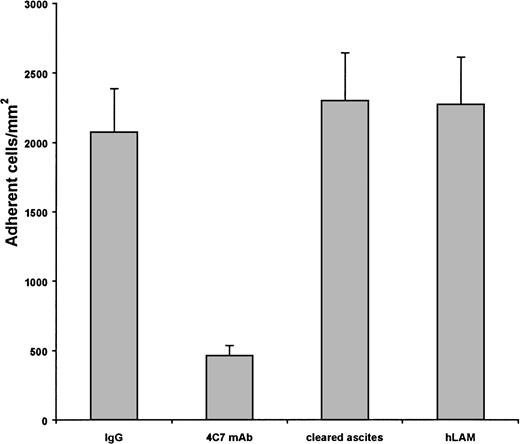 Fig. 3. Sickle cell adhesion to laminin is inhibited by the 4C7 MoAb. Immobilized laminin was treated with the 4C7 antilaminin MoAb (4C7 MoAb) in ascites before the 1% hematocrit flow adhesion. Concentrations of the 4C7 IgG2 in ascites ranged from 15.0 to 37.5 μg/well. Adhesion of sickle RBCs to laminin was greatly reduced by the 4C7 MoAb, but not by an isotype-matched IgG2control antibody at amounts up to 37.5 μg/well or by ascites fluid isolated from the commercial 4C7 preparation. Adhesion to human laminin in the absence of antibody is presented as a negative control. Data shown represent 10 experiments involving 4 patients.