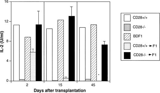 Fig. 4. Immune deficiency does not develop in BDF1 recipients transplanted with CD28−/− donor cells. Splenocytes from CD28+/+ wild type, CD28−/− deficient, normal BDF1 mice, and BDF1 recipients of CD28+/+ or CD28−/− cells 2, 15, and 45 days after transplantation were cultured for 24 hours with ConA; and IL-2 in the supernatants was measured by using a sandwich enzyme-linked immunosorbent assay (ELISA) technique. IL-2 concentrations were calculated with reference to standard curves. Data represent the average +/− 1 SD of three mice per group analyzed separately for BDF1 recipients of CD28+/+ or CD28−/− cells. Data on CD28+/+, CD28−/− and normal BDF1 mice represent the study of one mouse at each time point. *Recipients of CD28+/+ donor cells died before day 45.