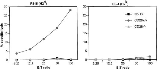 Fig. 5. Donor T cells lacking CD28 cannot generate cytotoxic effectors against the recipient. Fifteen days after transplantation, splenocytes from normal BDF1 mice and from BDF1 recipients of CD28+/+ or CD28−/− cells were assayed directly without in vitro restimulation. Three mice per group were analyzed separately, and the data represent the mean +/− 1 SD of three individual mice. The activity of anti-H2d or anti-H2b cytolytic effectors was measured in a 4-hour cytotoxicity assay against specific P815 (H2d) or control EL-4 (H2b) targets.