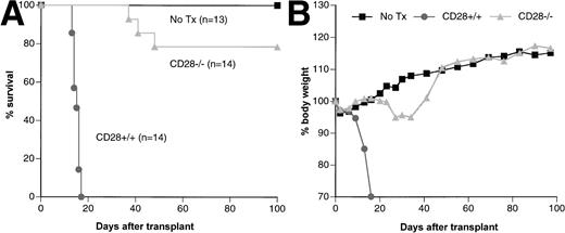 Fig. 7. CD8+ CD28−/− donor T cells have a limited capacity to cause GVHD in irradiated (B6 × bm1)F1 recipients. (B6 × bm1)F1 mice were irradiated (700 cGy) and transplanted with CD28+/+ CD8+ cells or CD28−/− CD8+ cells from B6 donors. Irradiated (B6 × bm1)F1 mice were injected with PBS alone as control. (A) Survival curves; (B) Weight curves show the mean body weight for each group. Data were pooled from two replicate experiments.