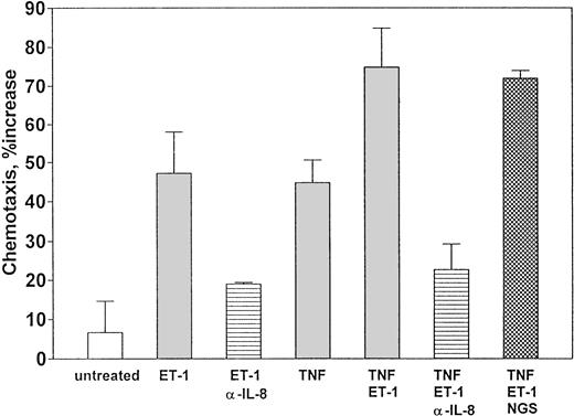 Fig. 8. Et-1–treated CNS-ECs produce functional neutrophil chemotaxis factor. Confluent cultures of CNS-ECs were left untreated or treated with Et-1 (10−7 mol/L), TNF (1 ng/mL), or both Et-1 + TNF for 72 hours. Supernatants were then collected, and Et-1 or Et-1 + TNF supernatants were exposed to either goat anti–IL-8 antibody (200 μg/mL) or goat serum (200 μg/mL). The experimental supernatants were then placed in the lower compartment of the migration chamber. Freshly isolated PMNs were placed in the upper chamber. After 30 minutes, cells in the lower compartment were collected and counted using the trypan blue technique. The data are accumulated from 5 experiments and presented as the mean ± SEM. The data were calculated as the ratio of the number of cells migrating when exposed to experimental supernatants compared with media alone (media that had not been in contact with cells) times 100.